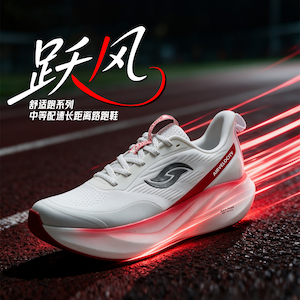 跃风lite